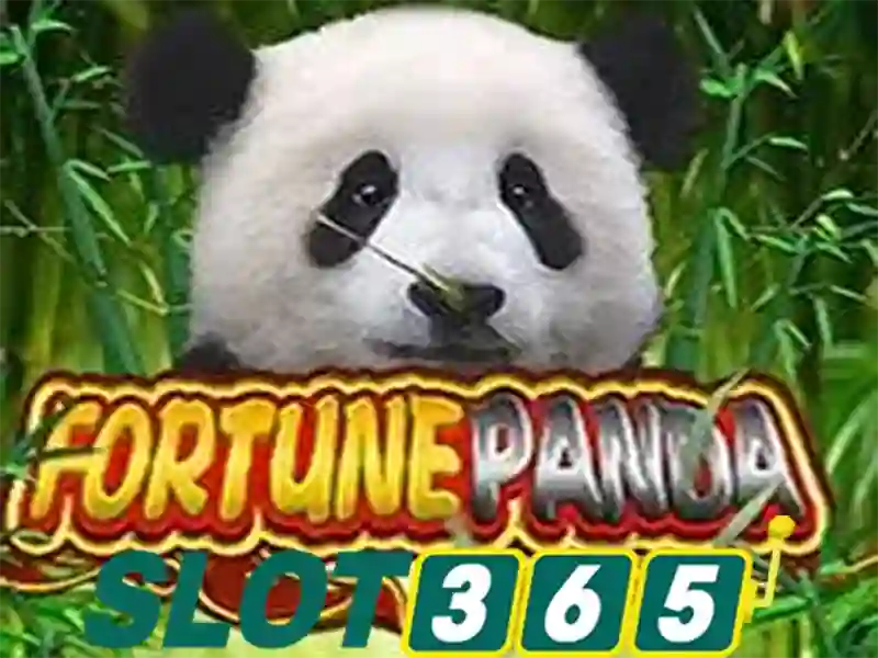 Slot365: Tổng quan về nền tảng casino trực tuyến hàng đầu