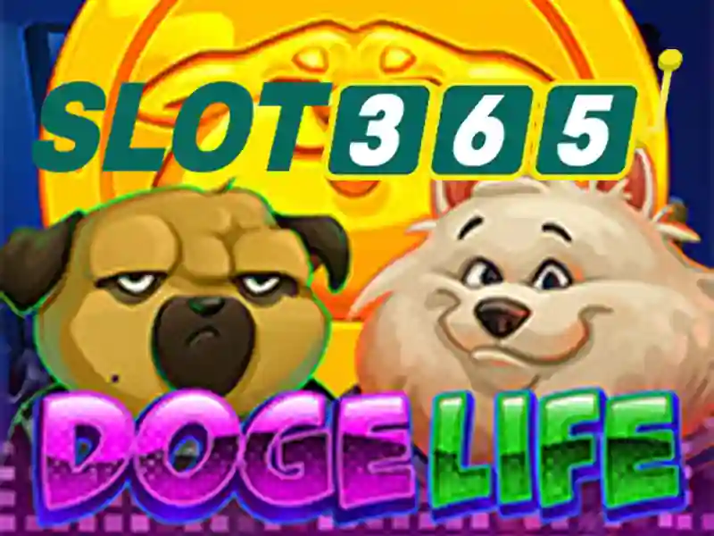 Phản hồi của người dùng về slot365 casino