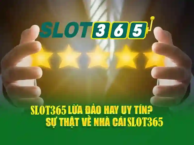 nhà cái Slot365 – Tổng quan chủ đề và giá trị cốt lõi