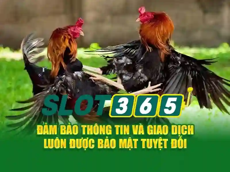 slot365 login link alternatif: Hướng dẫn an toàn truy cập