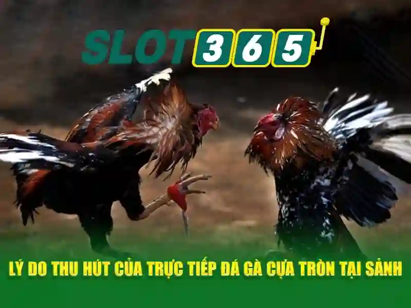 Đa dạng phương thức thanh toán