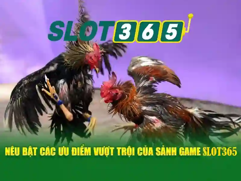 slot365 tặng 200k – Dấu ấn thương hiệu và trải nghiệm người dùng