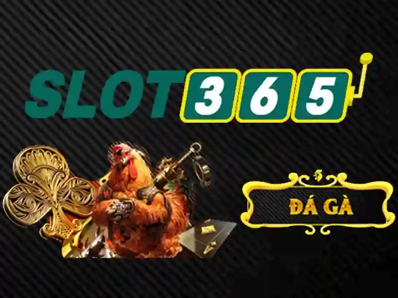 Slot365: Đánh giá và trải nghiệm