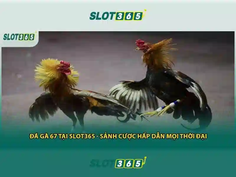 An toàn và bảo mật