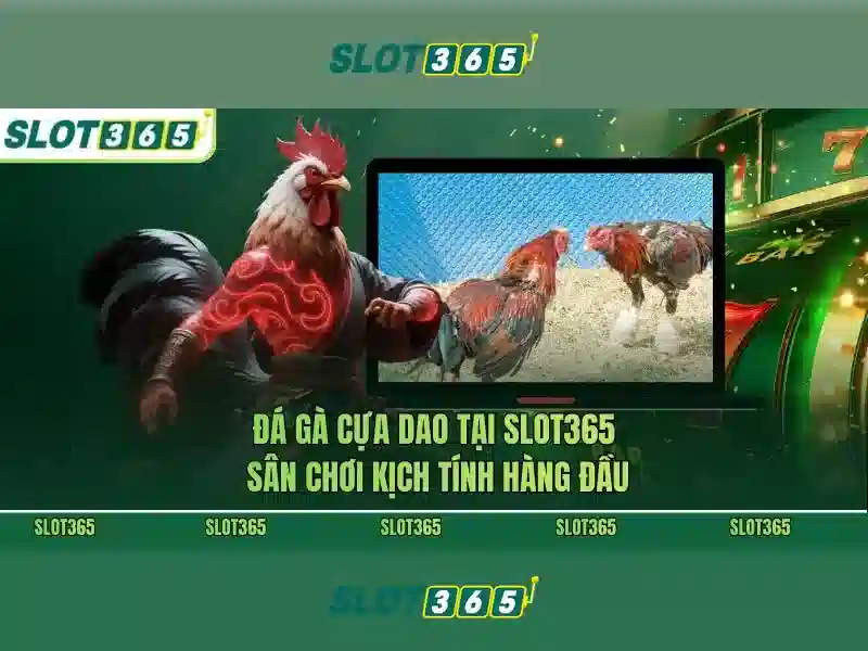 Slot365: Khám phá nền tảng slot trực tuyến