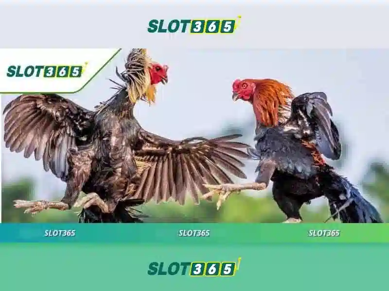 app slot365: Khám phá nền tảng slot365 và trải nghiệm poker