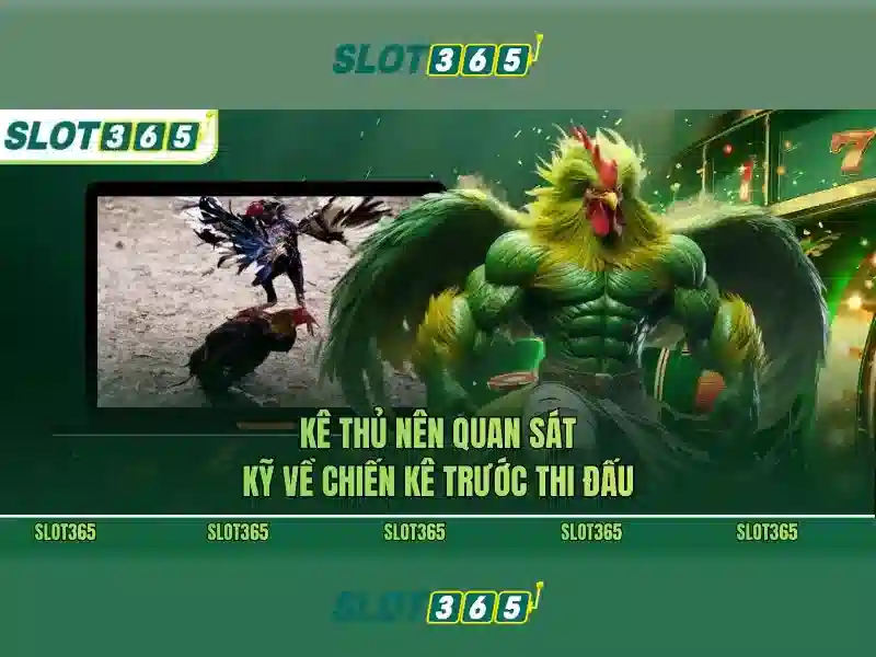 slot365 – chủ đề tổng quan và giá trị cốt lõi