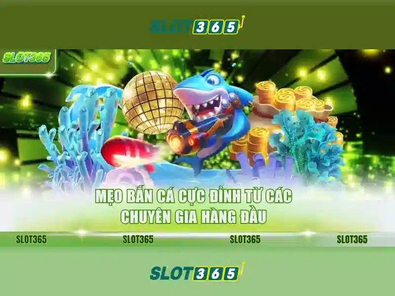 Slot365: Nền tảng slot trực tuyến đáng tin cậy và đầy hứng khởi