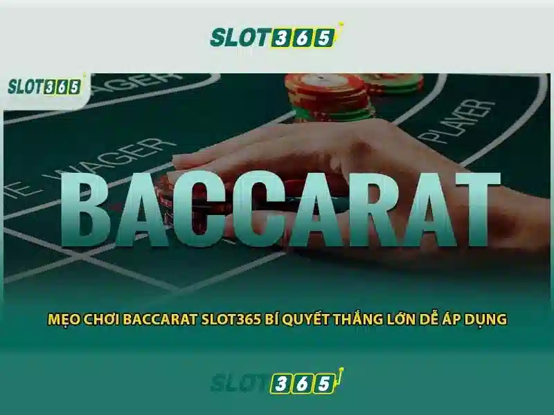slot365 apk – Trải nghiệm và Giá trị Đỉnh cao