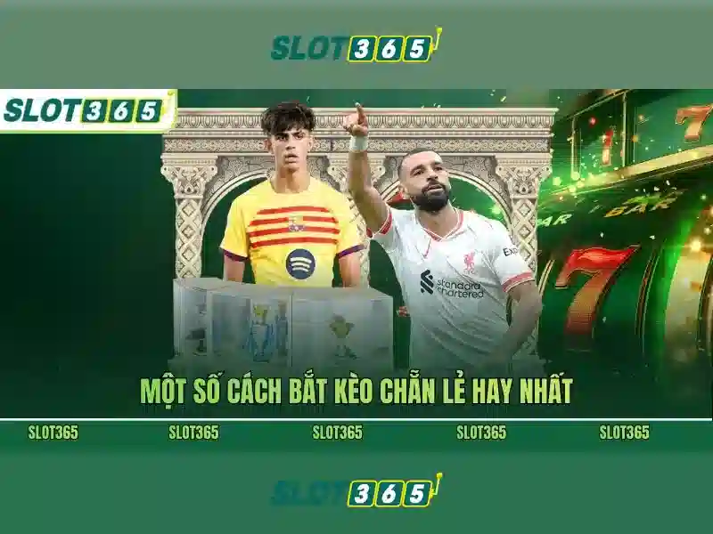 live slot365 – Tổng quan chủ đề và giá trị cốt lõi