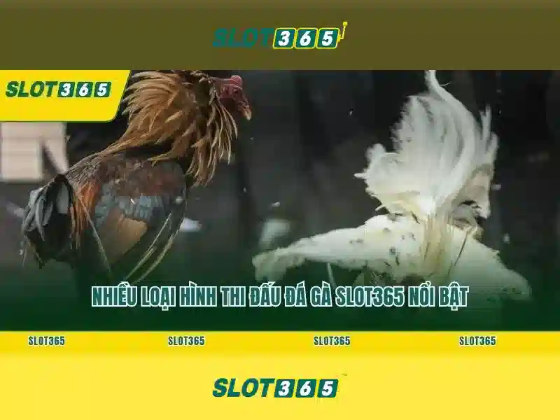 Endrick Rời Real Madrid – Câu Chuyện Phía Sau Quyết Định