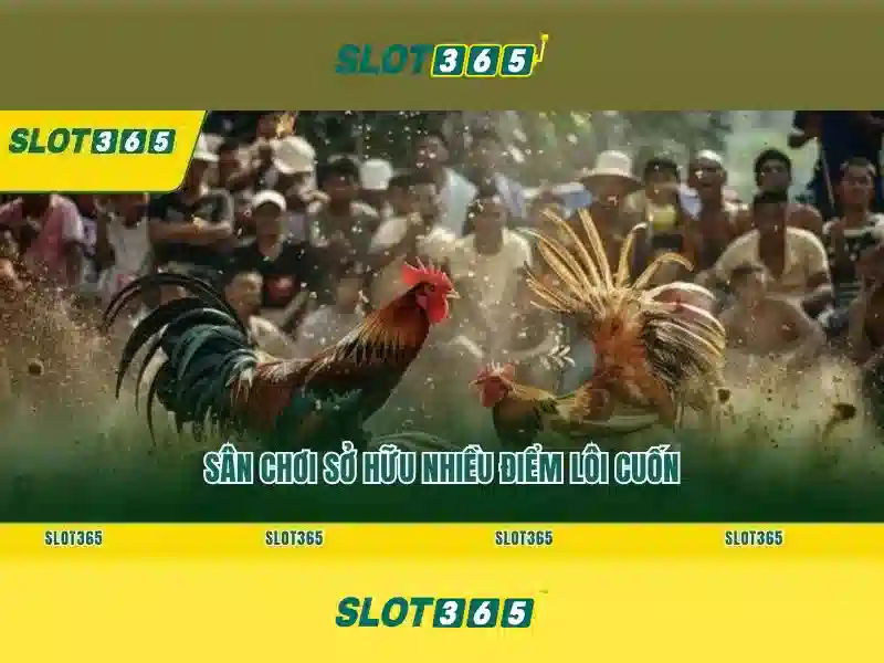 Slot365: Nền tảng slot trực tuyến đáng tin cậy
