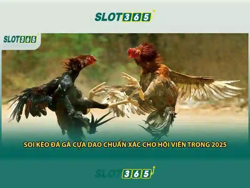 Slot365 – Trải nghiệm máy đánh bạc trực tuyến hàng đầu