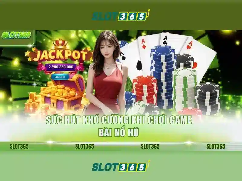 Giao diện và trải nghiệm người dùng