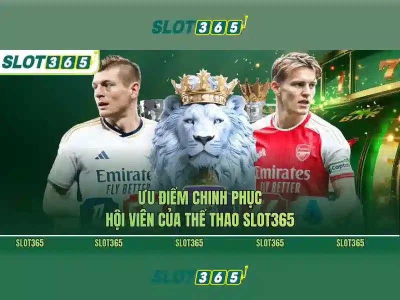 Trải nghiệm người dùng và hỗ trợ