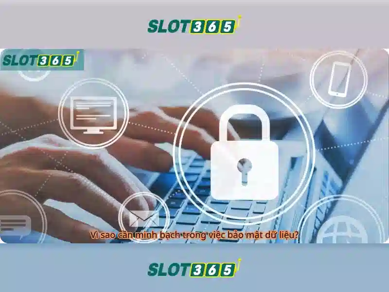 Slot365 là gì?\n<h2><b>Tại sao nên chơi trên Slot365?</b></h2>\n<p><span style=