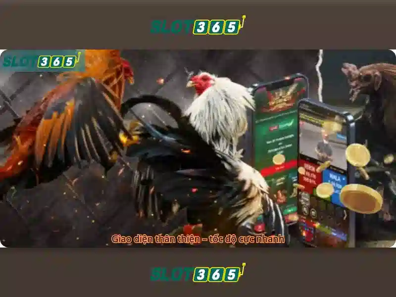 slot365: Nền tảng trò chơi máy xèng trực tuyến