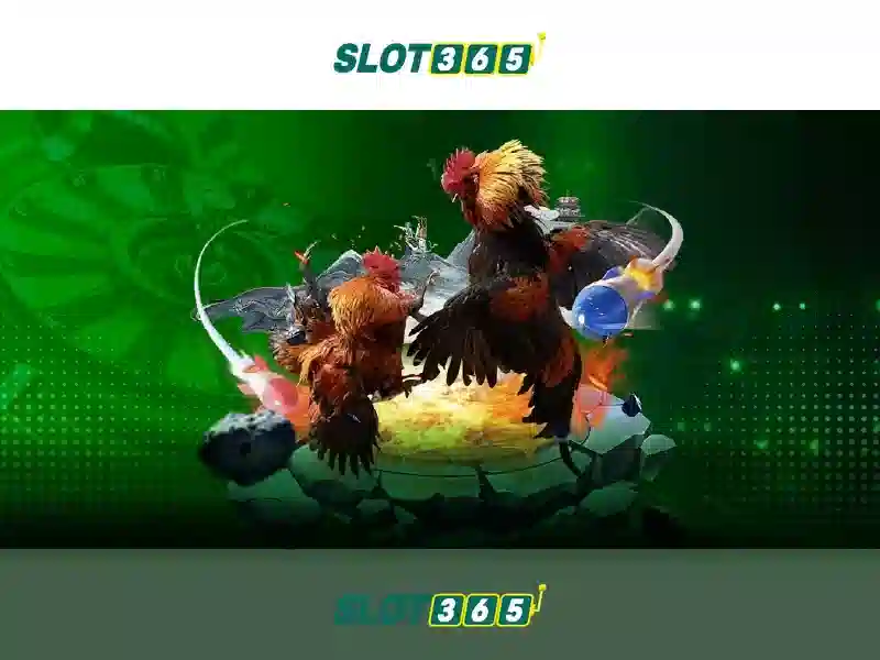 Slot365 là gì?