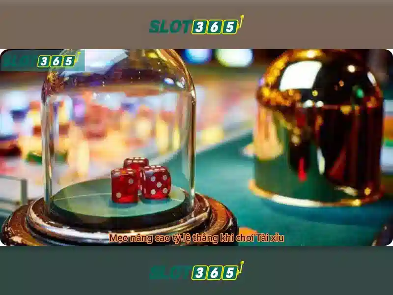Sản phẩm và dịch vụ cốt lõi của live slot365