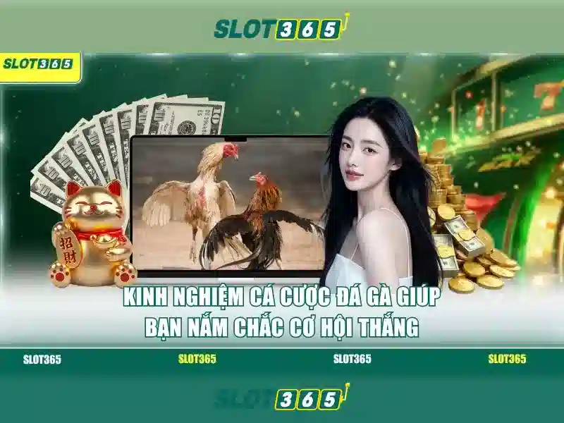 Slot365: Đánh giá và Hướng dẫn chơi
