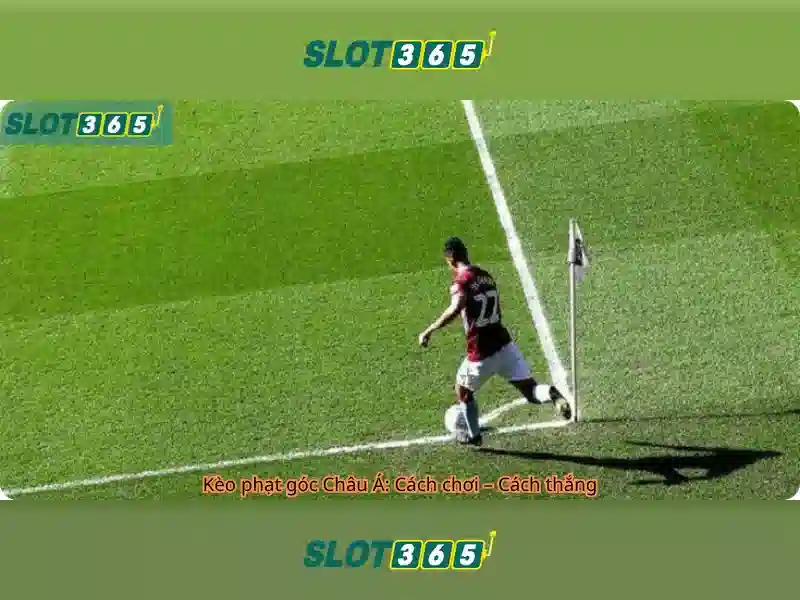 Slot365 là gì?