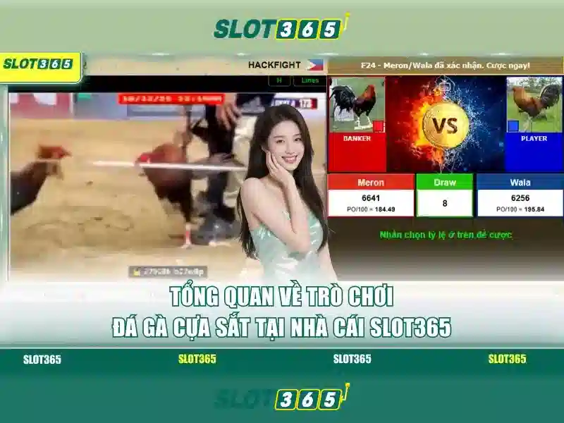 Slot365 là gì?