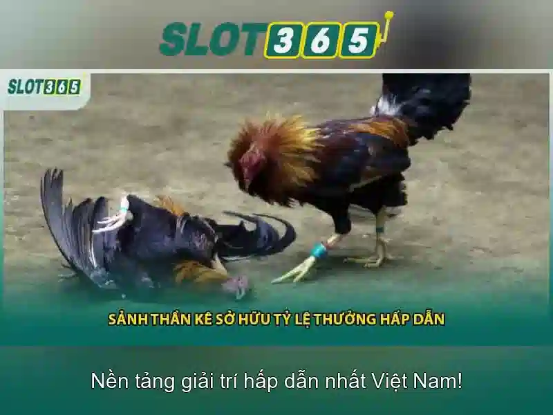 Các thể loại trò chơi tại Slot365