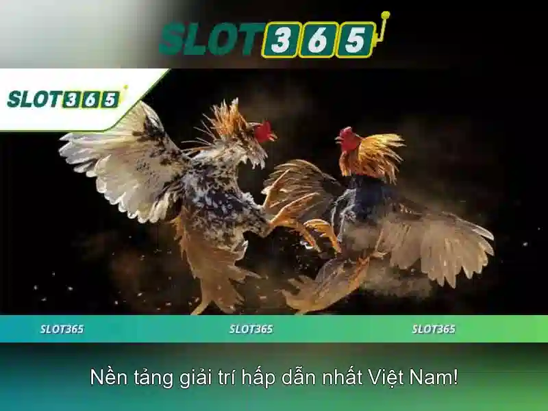 Slot365: Trải nghiệm casino slot trực tuyến hiện đại