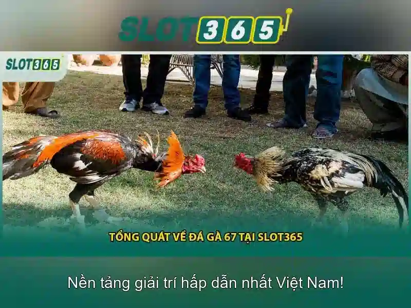 Slot365: Tổng quan về nhà cái slots hàng đầu