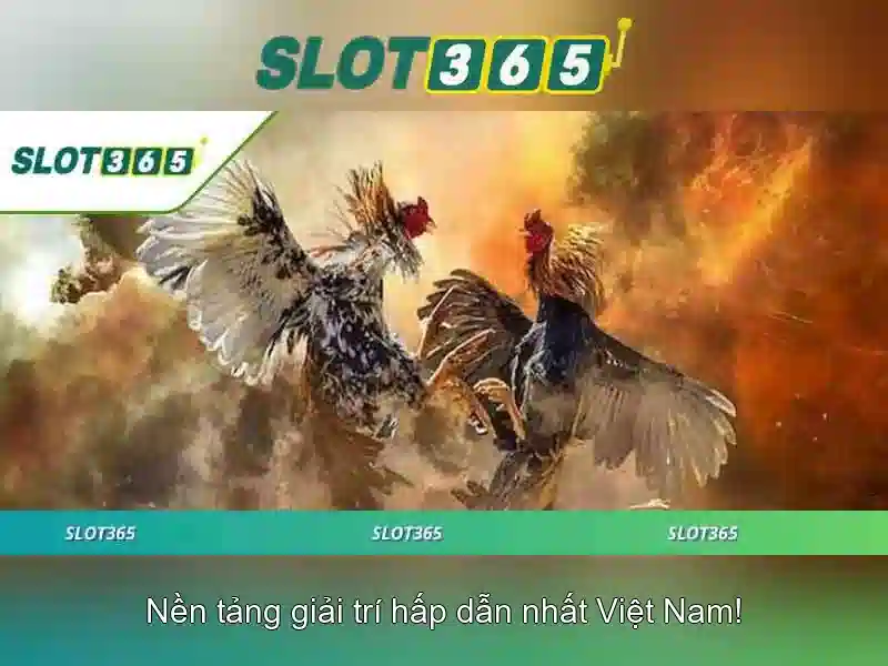 Slot365: Trải nghiệm quay số trực tuyến an toàn và tiện lợi