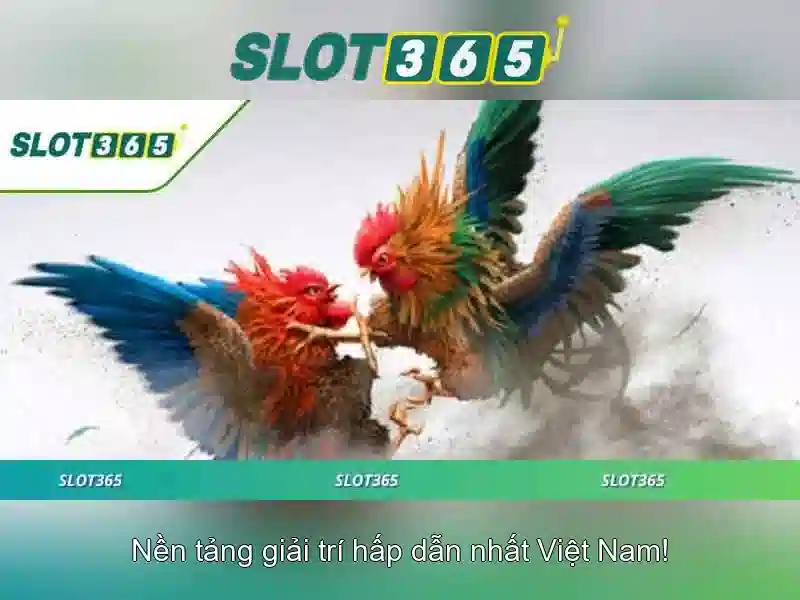 Danh mục trò chơi và nhà cung cấp