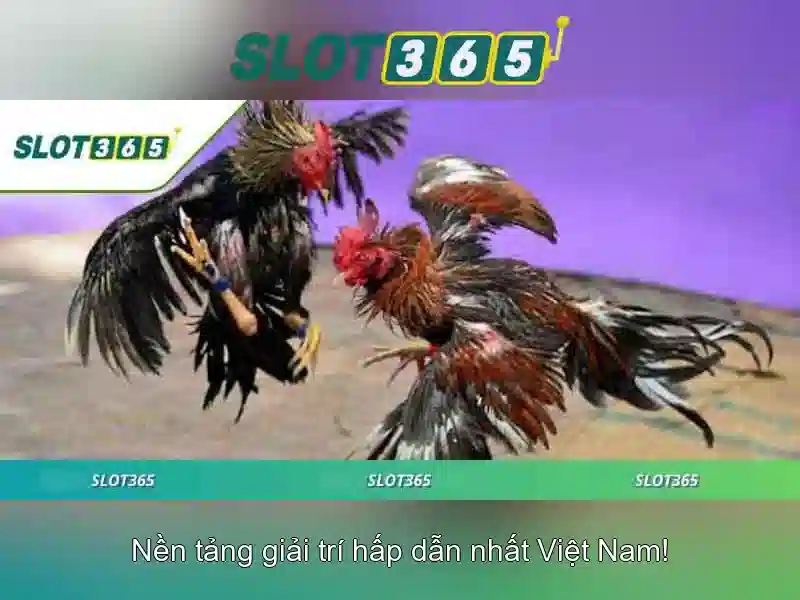 Endrick Rời Real Madrid – Câu Chuyện Phía Sau Quyết Định