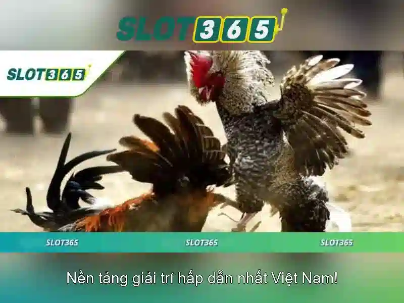 Slot365 - Nền tảng trò chơi máy xè trực tuyến đẳng cấp