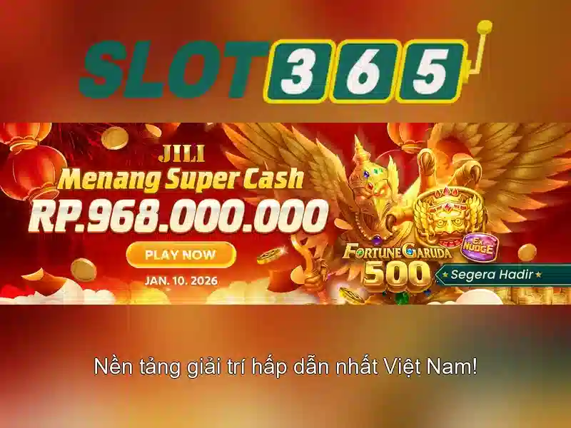 Trải nghiệm người dùng