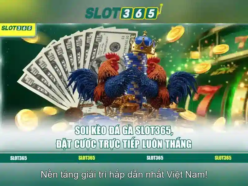 Tại sao chọn Slot365?