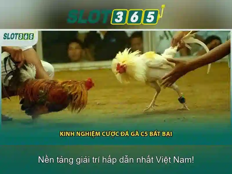 Slot365: Trải nghiệm máy xèng trực tuyến đỉnh cao