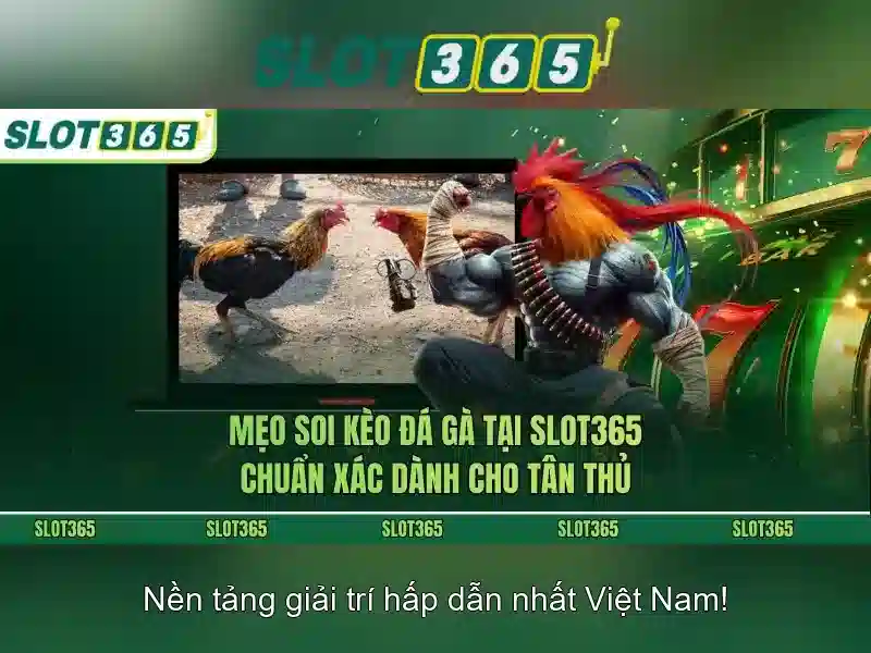 Slot365 là gì và những điều bạn cần biết