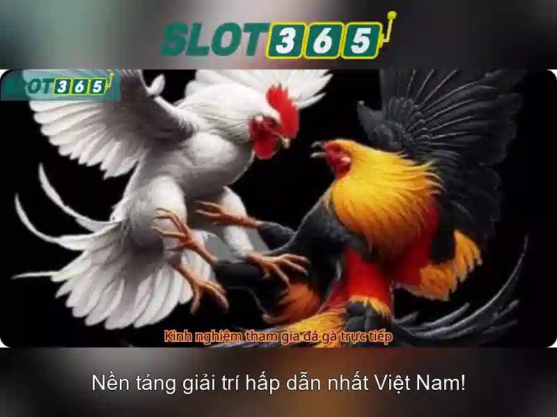 Slot365: Trải nghiệm máy xèng trực tuyến đỉnh cao