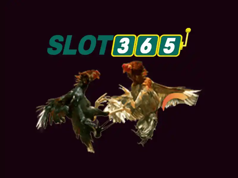Slot365 apk – Trải nghiệm slots đỉnh cao và an toàn