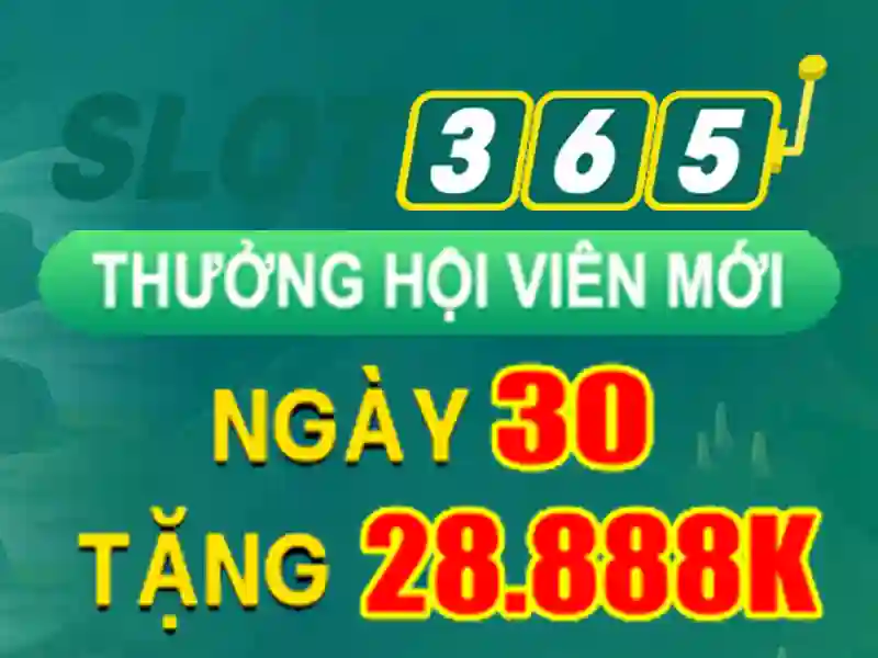 Tong quan ve cac chuong trinh khuyen mai tai nha cai Slot365