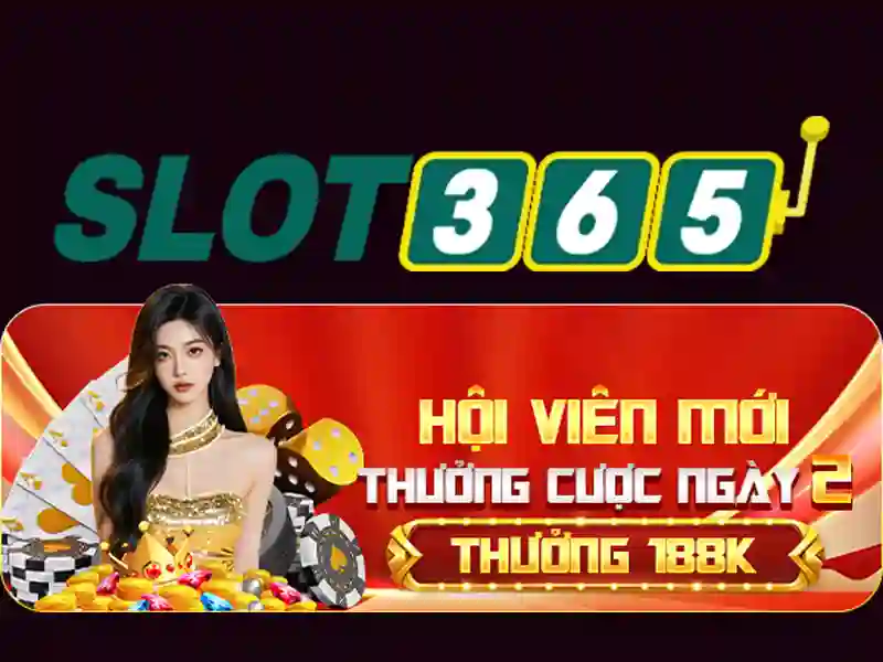 hỗ trợ Slot365 – Dịch vụ chuyên nghiệp và trải nghiệm tối ưu